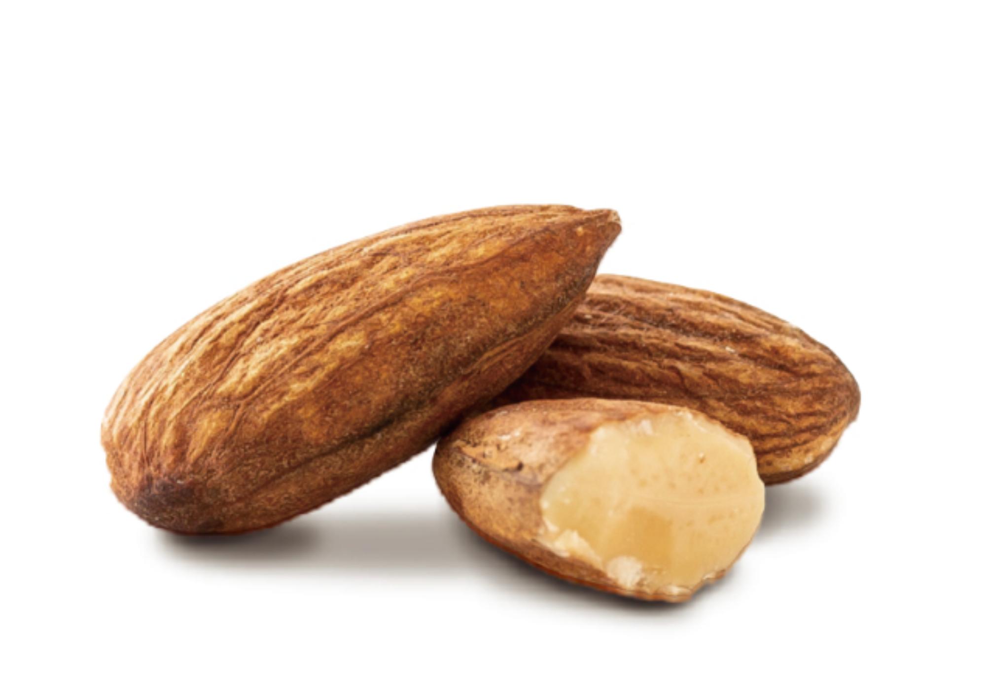almondtree様 リクエスト 7点 まとめ商品 商品 – ALMOND TREE SHAKER